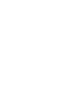 Stabilized Chiropractic Logo